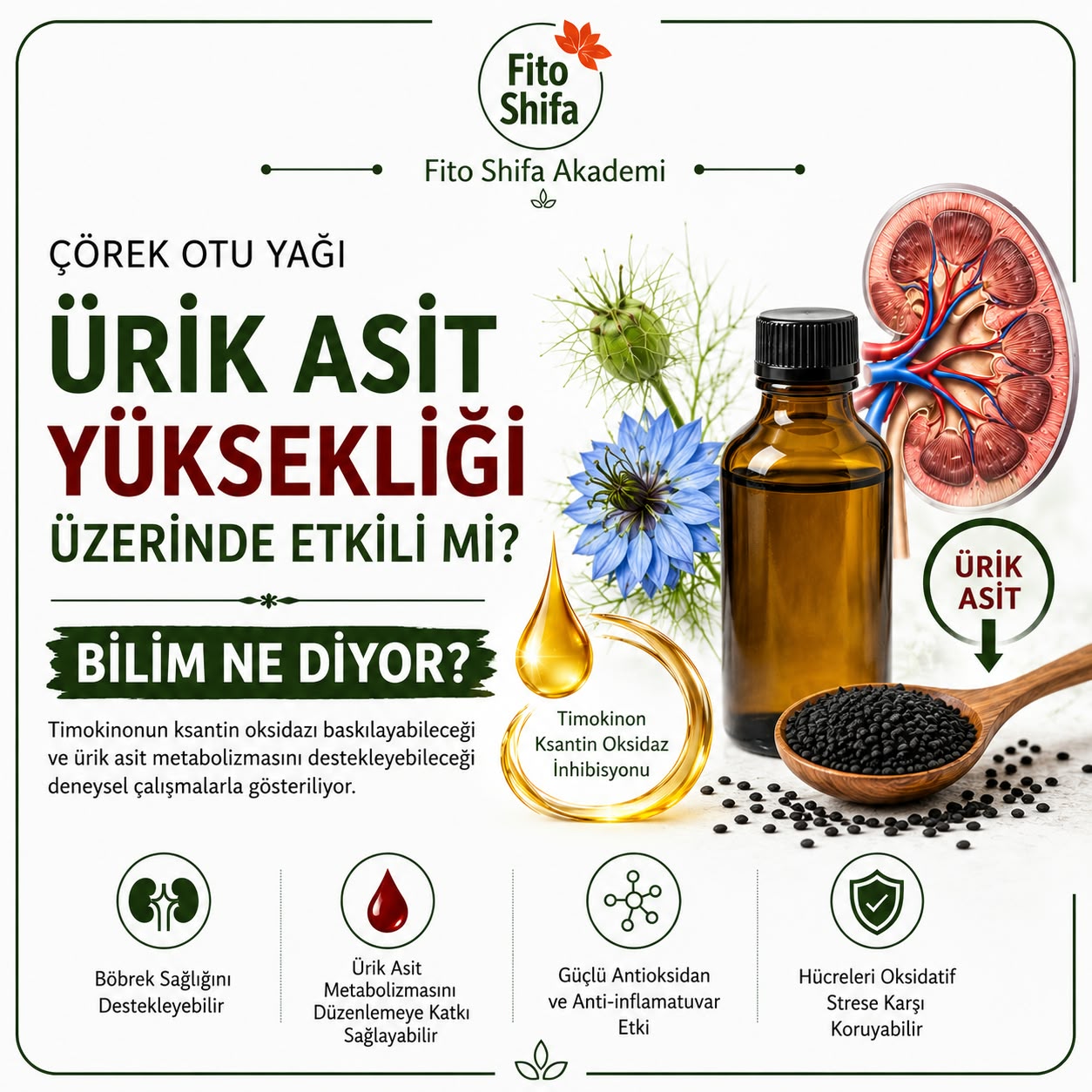 Çörek Otu Yağı, Ürik Asit Yüksekliği Üzerinde Etkili mi?